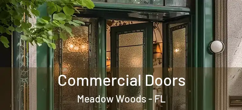  Commercial Doors Meadow Woods - FL