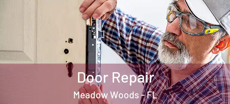  Door Repair Meadow Woods - FL