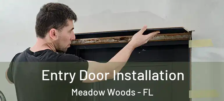  Entry Door Installation Meadow Woods - FL