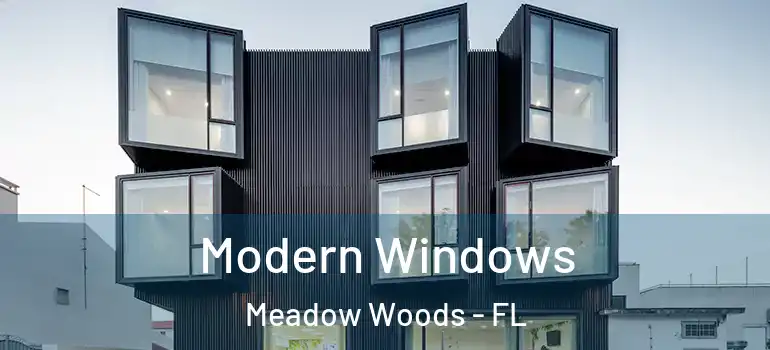  Modern Windows Meadow Woods - FL
