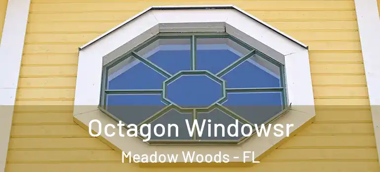  Octagon Windowsr Meadow Woods - FL