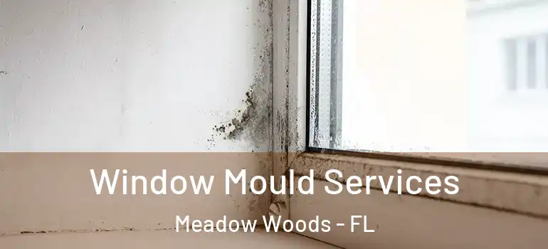 Window Mould Services Meadow Woods - FL